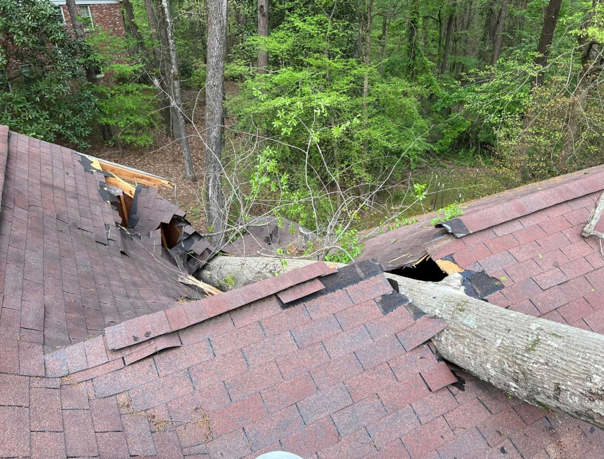 [Roof Repair]